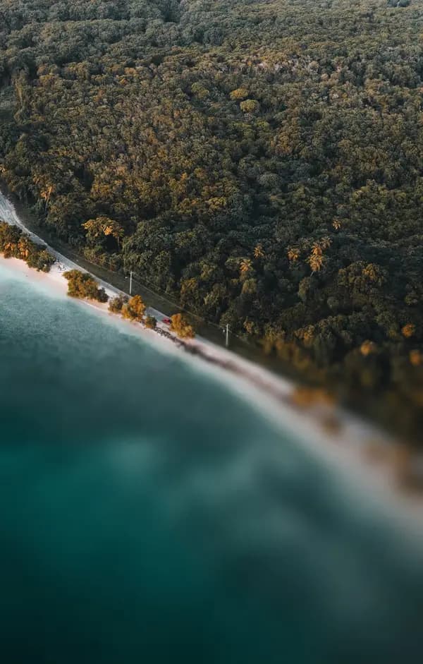 Trinidad & Tobago